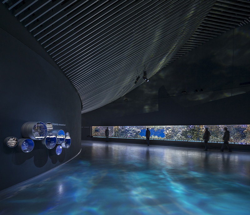 071113_The-blue-Planet-Copenhagen-2