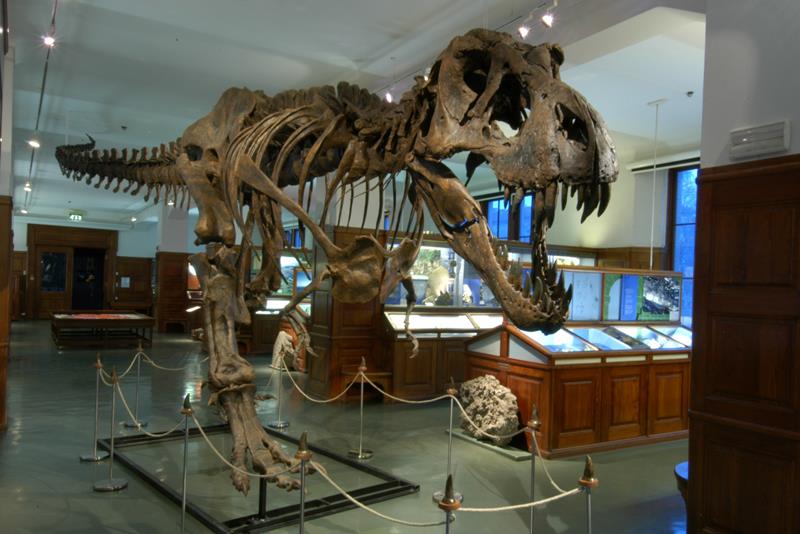 130314_Natural_History_Museum_Oslo_Norway