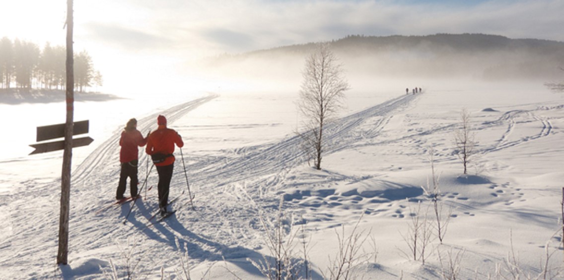 200314_Cross_country_skiing_in_Oslo