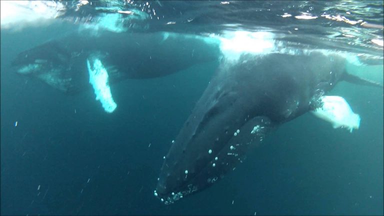 Exciting Northern Norway