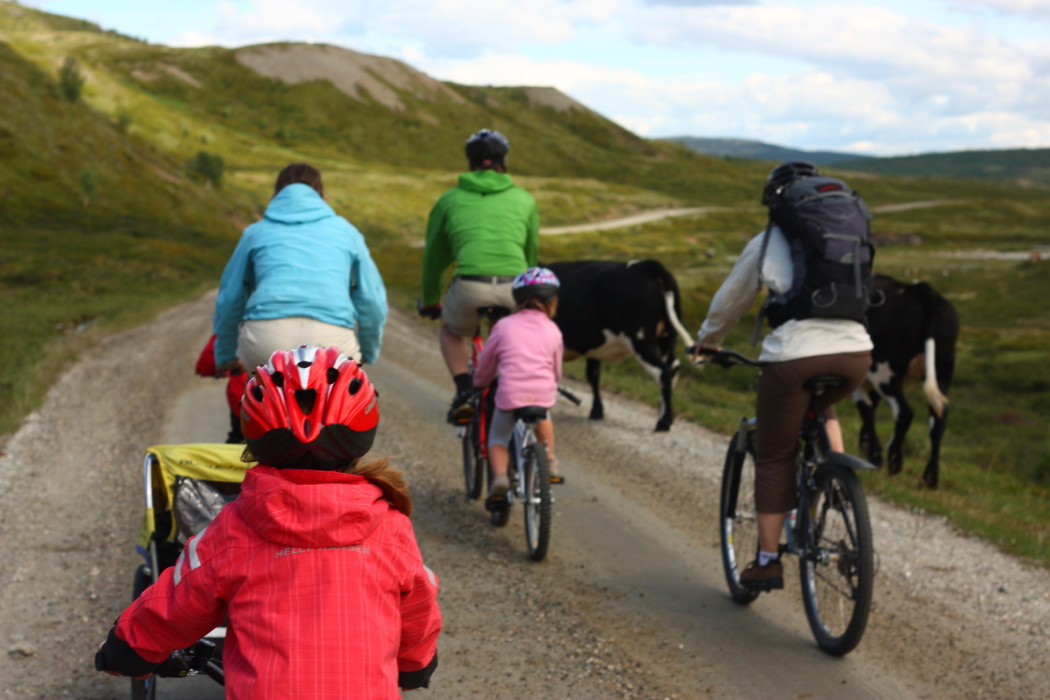 040614_Biking_in_Norwegian_Mountains3_Photo_Oivind_Wold