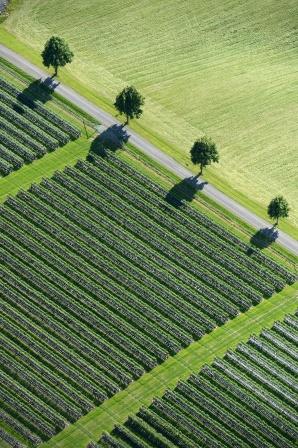 250814_Norwegian_Cultural_Landscape_1_Photo_Lasse_Tur