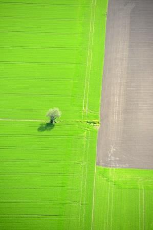 250814_Norwegian_Cultural_Landscape_3_Photo_Lasse_Tur