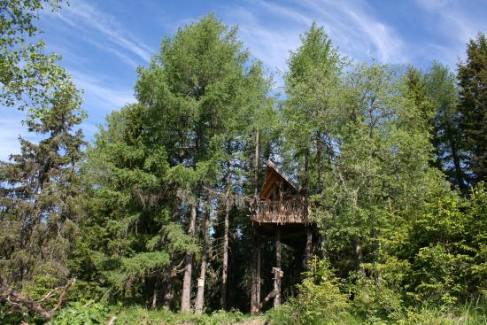 160914_Treetop_Cabin_Hamar_Norway_Daily_Scandinavian