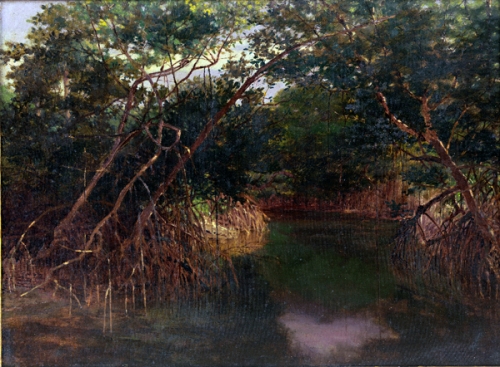 021214-bror-anders-wickstrom-mangrove-swamp