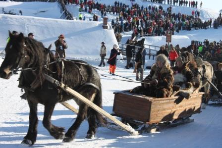 101214-horse-sleigh-in-roros