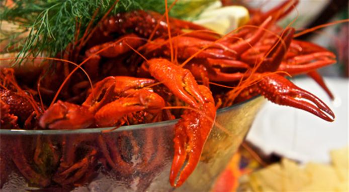 Swedish crayfish