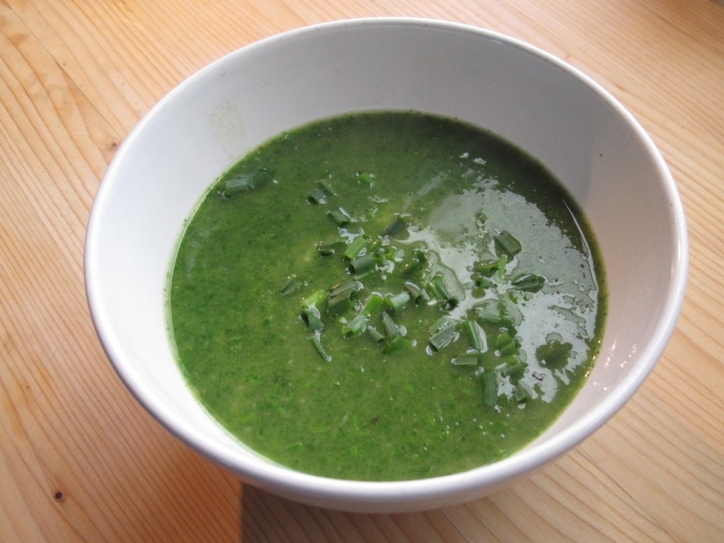 031115-Nettle-soup