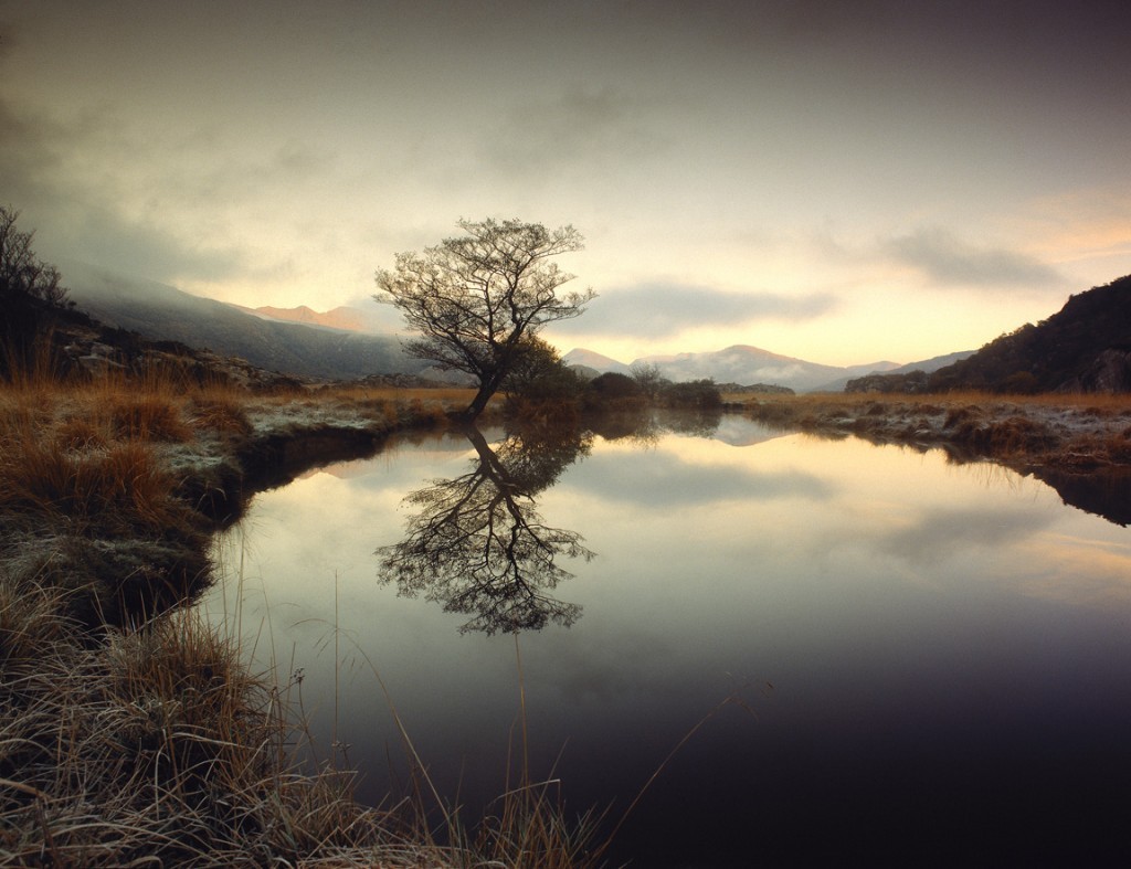 Tree Lake by Eoghan Kavanagh, Hasselblad 2012 winner