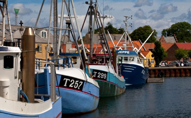 Danish fishing fleet