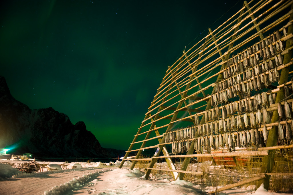 Dish drying in Svolvaer, Norway
