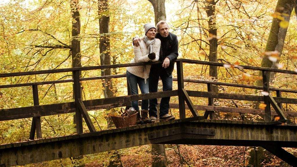 Autumn in Denmark