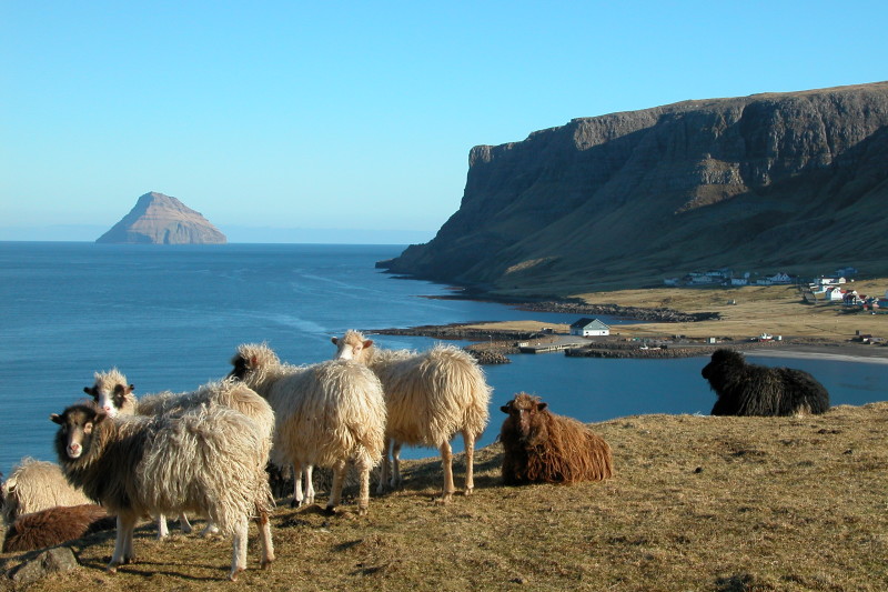 170316-faroe-islands-knitting-festival-wool