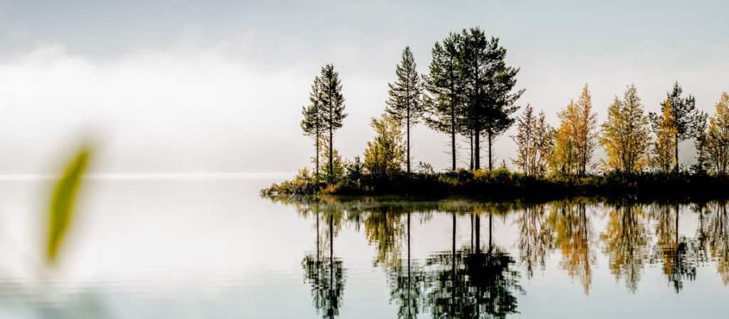 From Lapland