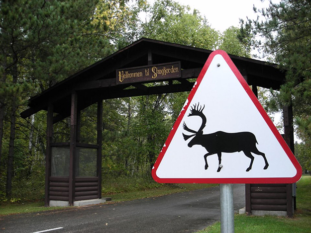300316-welcome-to-skogfjorden-norway