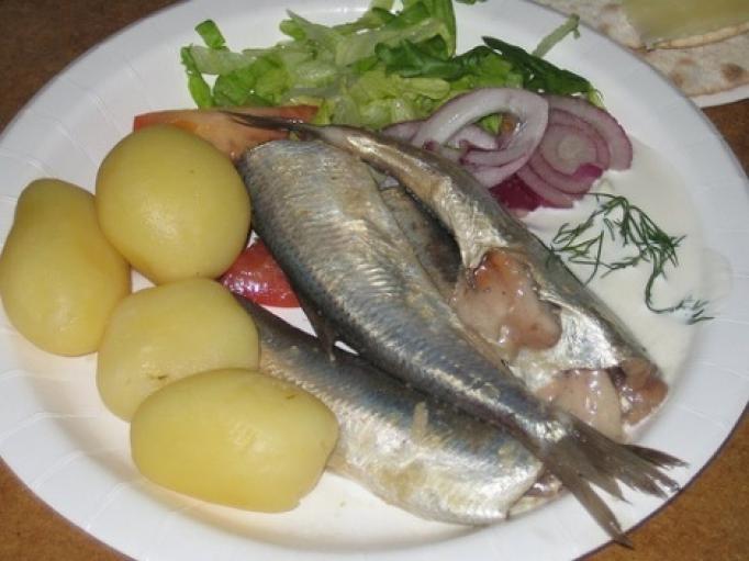 Swedish surstromming