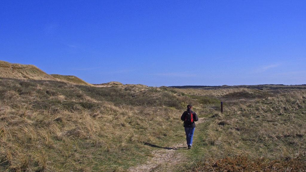 Hiking in the dunes of Skagen, Denmark