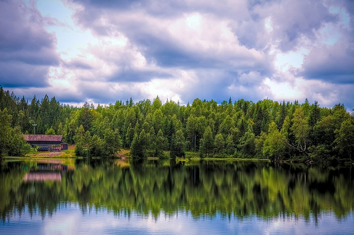 Summertime in Nordmarka