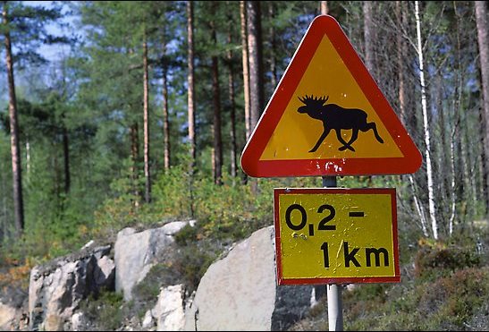 Moose crossing sign from Sweden