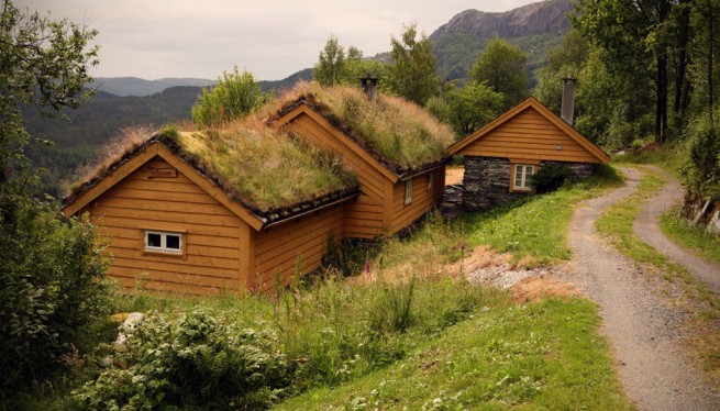 400 Norwegian Gems Online