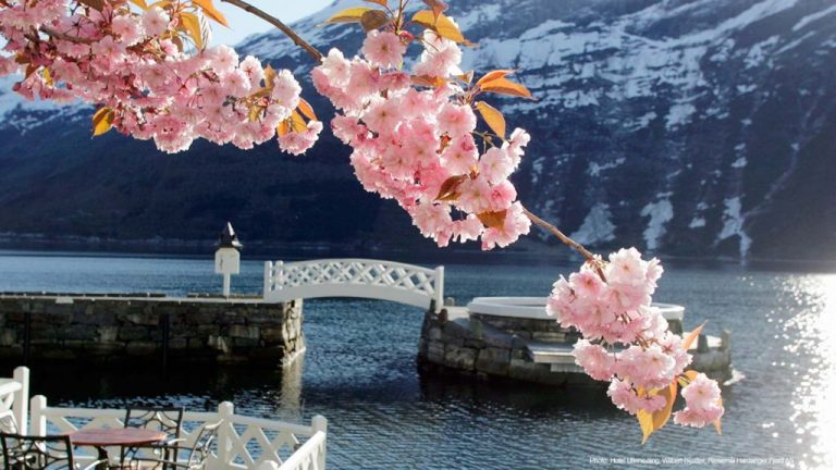 Everything Smells of Apples in Hardanger