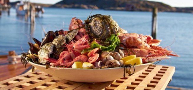 Fresh Fish and Shellfish From Scandinavia