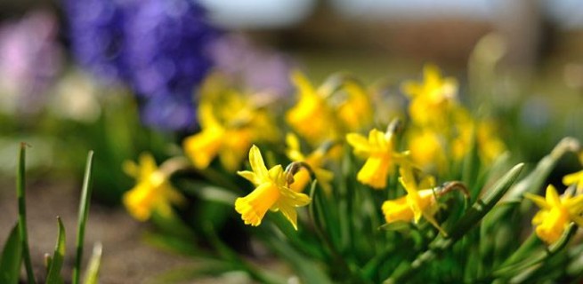 Happy Easter in Bornholm