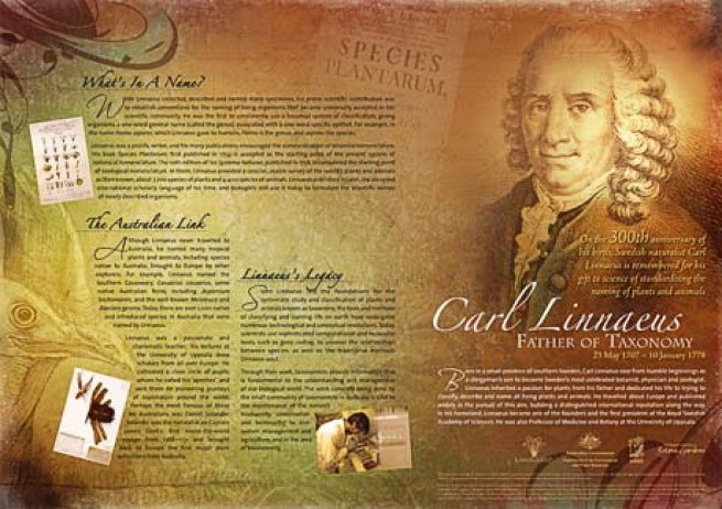 Linnaeus, The Swedish Plantsman