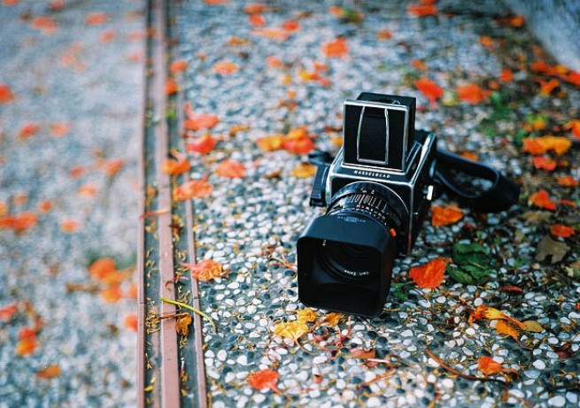 The Swedish Camera Icon