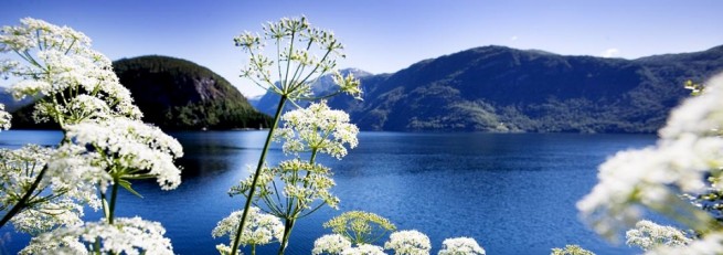 On the Blooming Banks of Queen of Fjords
