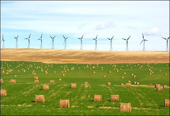Environmental Challenges in Scandinavia