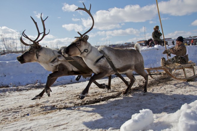 Only in Scandinavia