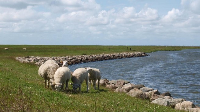 Two New Danish Sites Inscribed on the UNESCO’s World Heritage List This Summer