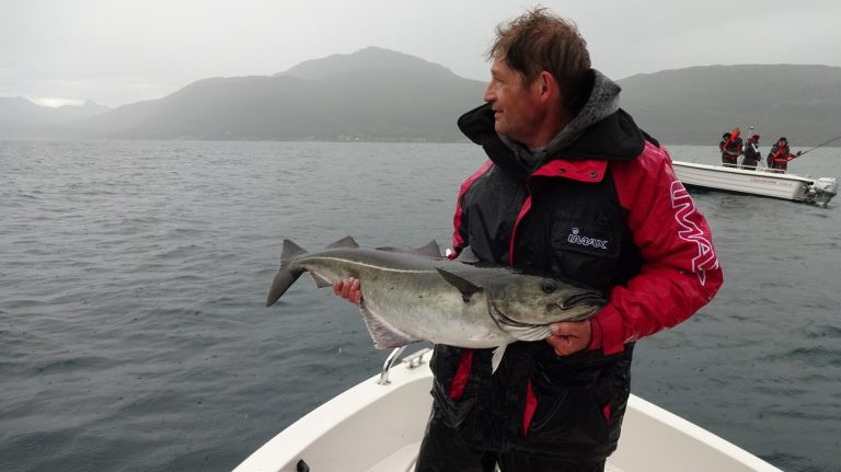 Norway Haddock