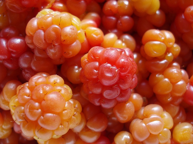 Scandinavian Food and Drink