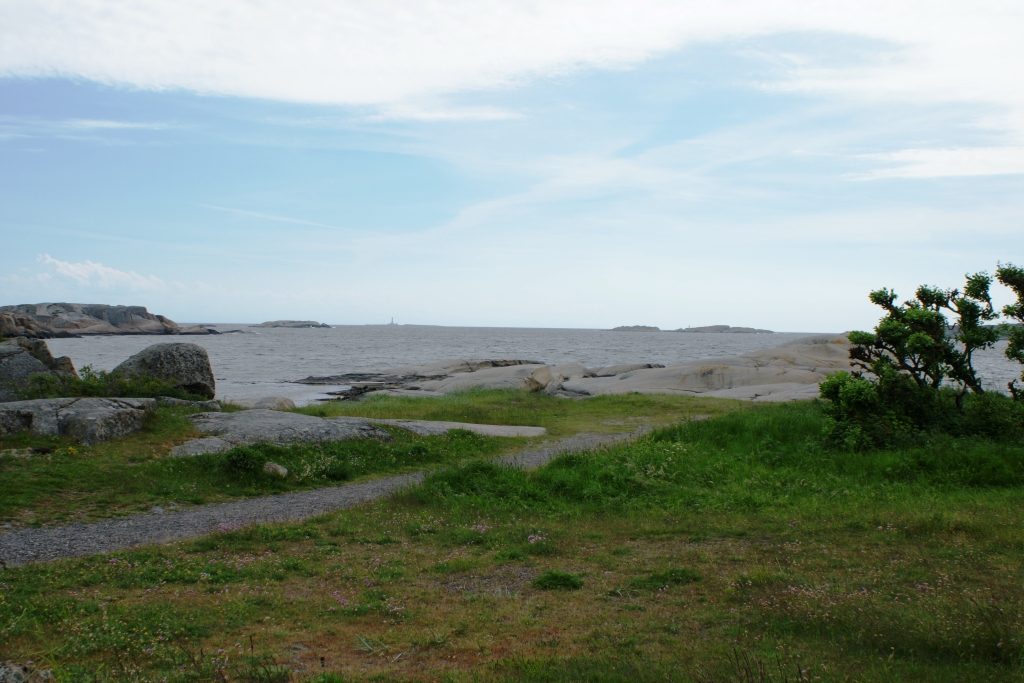 The Norwegian Asparagus Island