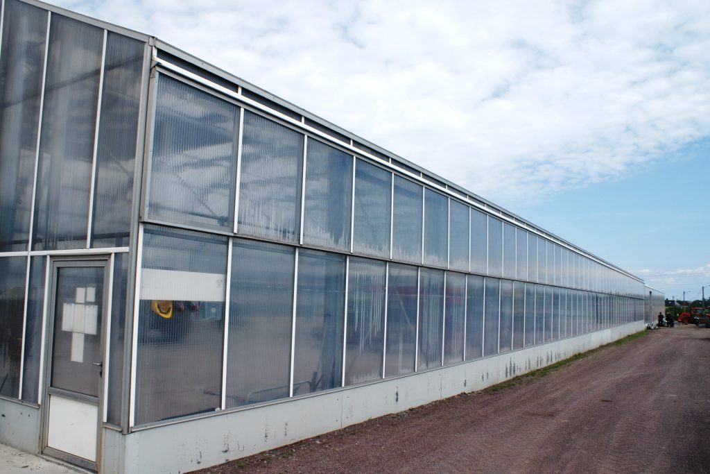 The Norwegian Asparagus Island