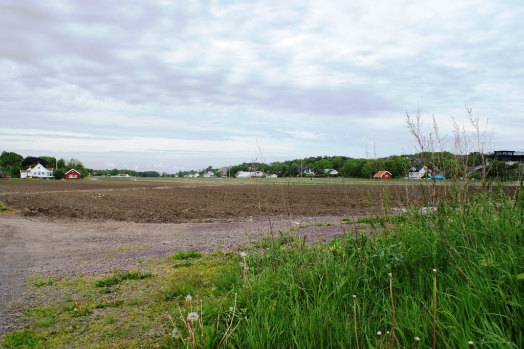 The Norwegian Asparagus Island