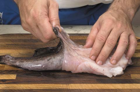 Scandinavian Monkfish