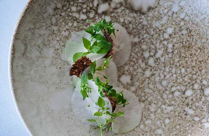 New Restaurants in Copenhagen