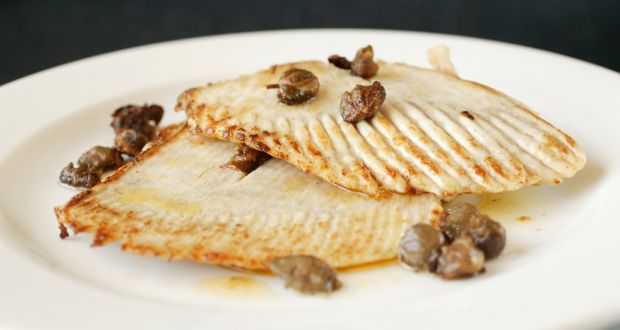 Scandinavian Ray