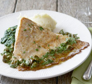 Scandinavian Ray