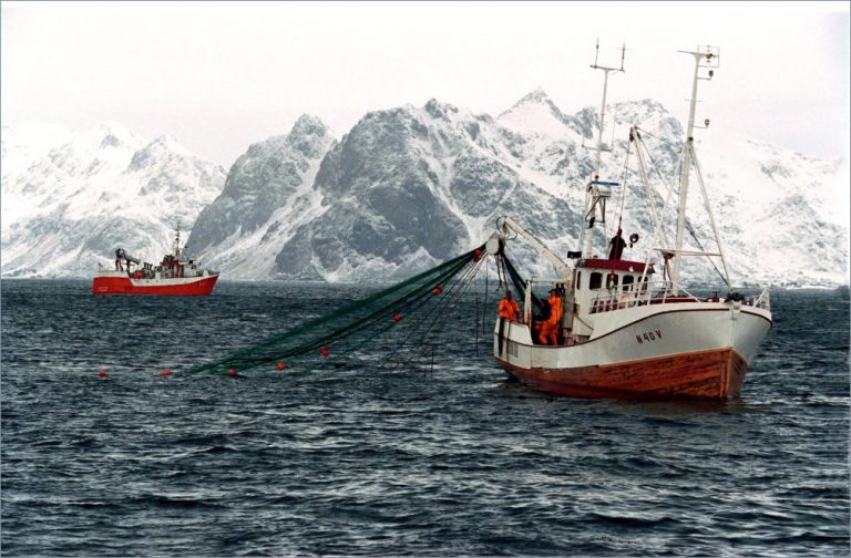 More Seafood from Norway