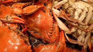Scandinavian Shellfish & Molluscs