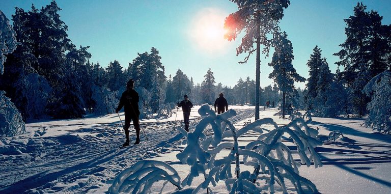 Your One Stop Guide to Skiing in Norway