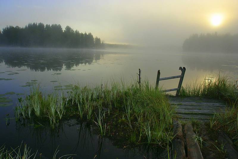 The Forest Finn Culture in Norway
