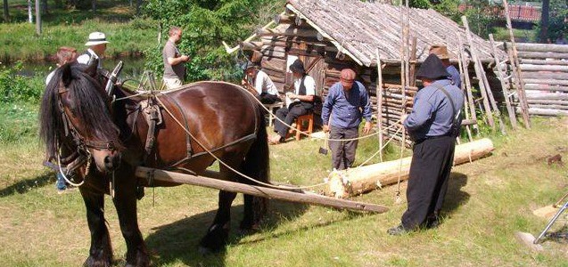 The Forest Finn Culture in Norway