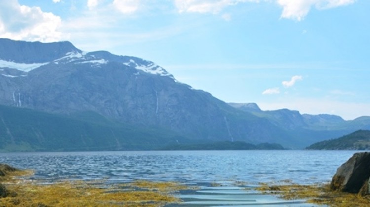 Norwegian Politics for Dummies