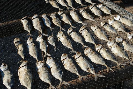 Scandinavian Preserved Fish