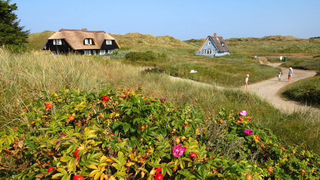 Coastal Hygge in Denmark